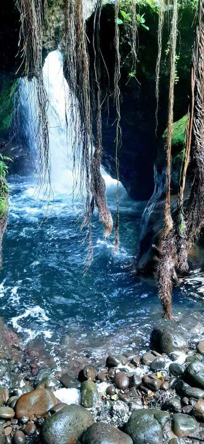 Casa Rural Aroma De Campo Curubande Ngoại thất bức ảnh